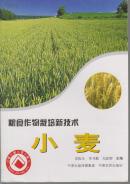 粮食作物栽培新技术. 小麦