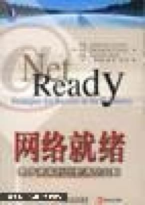 网络就绪:电子商务时代的成功战略