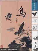 国画创作训练.鸟 大16开 铜版纸彩印 一版一印