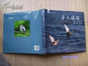 平天飞羽——安徽池州平天湖鸟类摄影