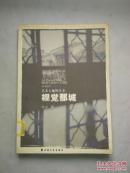 视觉那城（艺术大视野丛书）【馆藏 16开 2005年一印 5000册】