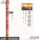 青春炼狱 章德宁 ,岳建一 武汉大学出版社