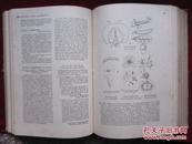 Plant Classification 植物分类（本书为中国唯一的“野人教授”、 华东师范大学生物系教授刘民壮藏书，为刘民壮教授钤印本；货号TJ）