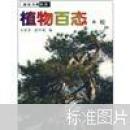 植物百态·松