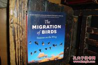 The Migration of Birds，鸟的迁徙（全新库存书，品相好，精装本，英文原版书）【№155-16】