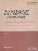 社会主义经济学通论:中国转型期经济问题研究