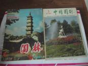 园林 1989年第3期 总第28期