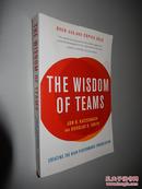 The Wisdom of Teams: Creating the High-Performance Organization 英文原版