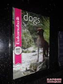 dogs  breed  book