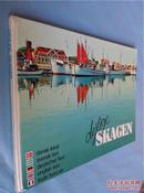 DEJLIGE SKAGEN