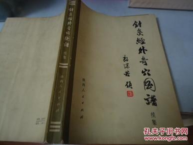 针灸经外奇穴图谱 续集（1974年一版一印，大16开原版实物品相如图）---【本书摊主营老版本中医药书籍】