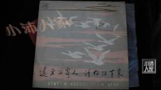 远方的客人，请你留下·黑胶唱片