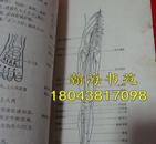 针灸治疗手册（上海市出版革命组出版）内有插图。请看描述再下单。1970年一版一印，C20