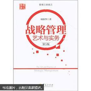 管理三部曲之:战略管理艺术与实务 项保华 华夏出版社