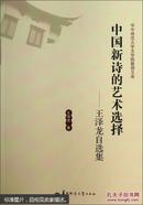 华中师范大学文学院教授文库·中国新诗的艺术选择：王泽龙自选集
