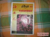 海石花：1984.10