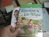 Leprechaun in Late Winter 精  4635