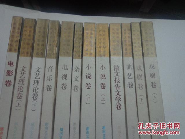 湖南新时期10年优秀文艺作品选(9卷，12册)
