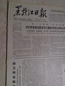 黑龙江日报1978年7月19日(1-4版）