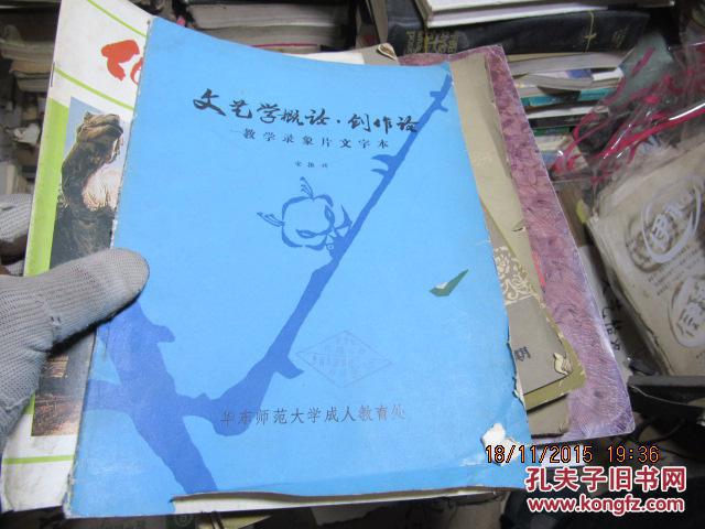 文艺学概论・创作论――教学录像片文字本 4955
