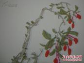 中国传统名笺---彩印信笺----邵农笺一套-----一套20页