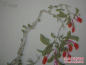 中国传统名笺---彩印信笺----邵农笺一套-----一套20页