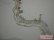 中国传统名笺---彩印信笺----邵农笺一套-----一套20页