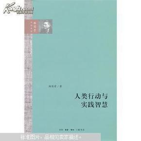 人类行动与实践智慧（杨国荣作品系列）