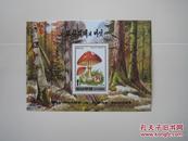 朝鲜1995年蘑菇小型张原胶全品新票1枚(56)