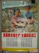 发展除虫菊生产  支援国家出口      宣传画   湖南（长52.6cm宽37.6cm）