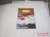 中国画廊推介画家精品 孙鼎玉