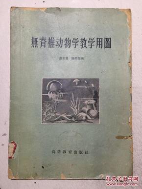 无脊椎动物学教学用图  50年代老教材