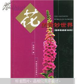 花的奇妙世界：四季花语录160则