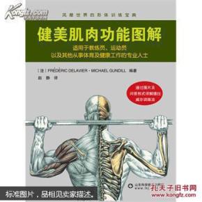 健美肌肉功能图解