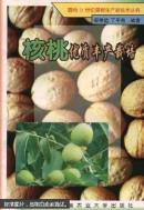 核桃树栽培技术书 种核桃树书 核桃优质丰产栽培