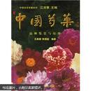 花卉芍药怎么种植方法技术书籍 中国芍药品种鉴赏与培育