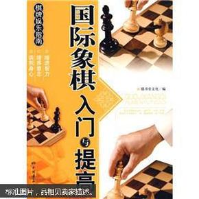 棋牌娱乐指南：国际象棋入门与提高