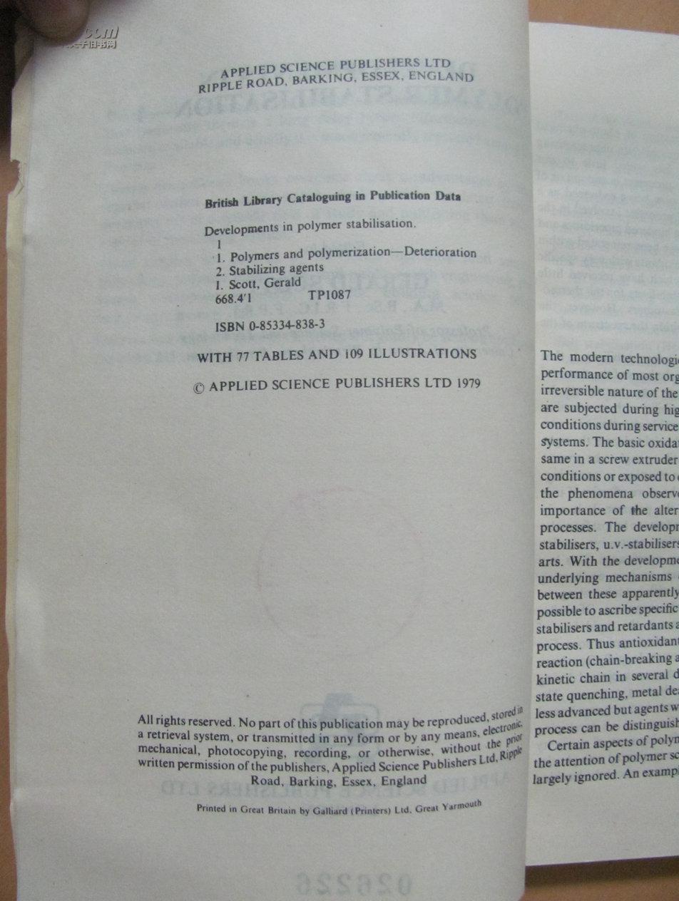 高分子稳定性进展1  英文