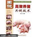 养猪书 猪病防治书 高效养猪关键技术