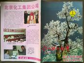 化工职工教育，1993年第1期总37期，封面雾凇摄影，北京化工集团