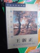 王新正摄影作品精选。