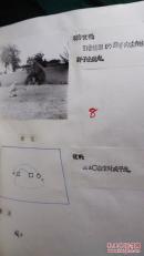 1987年中国民族民间舞蹈集成.甘肃卷.平凉地区资料本（油印本，附照片）