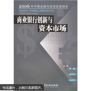 商业银行创新与资本市场：2006年中国金融与投资发展报告