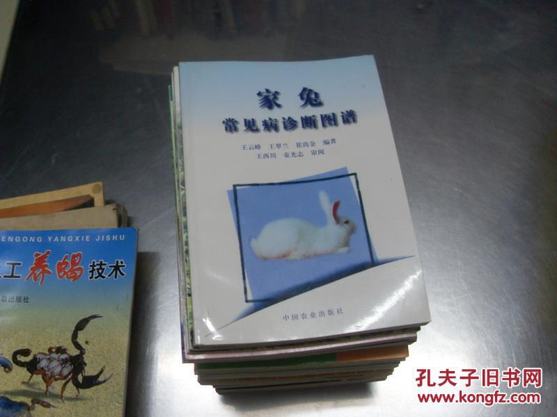 家兔常見(jiàn)病診斷圖譜   一版一印