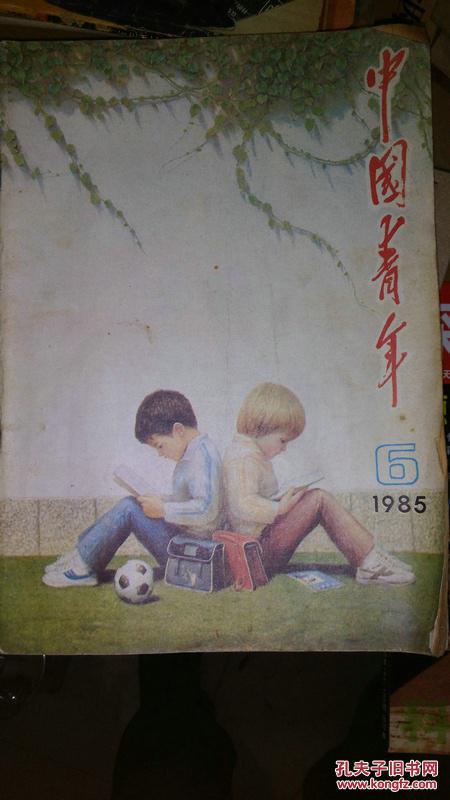 中国青年 1985.6  （西背）