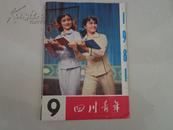 旧期刊杂志：四川青年——1981年第9期