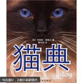 猫典