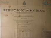 Pulteney Point to Egg Island（英文版航海图，103X80cm）