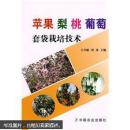 葡萄種植管理技術(shù)圖書 蘋果 梨 桃 葡萄套袋栽培技術(shù)