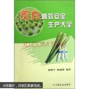 双季茭白种植技术书籍 茭白病虫害防治图书 茭白高效安全生产大全